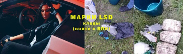 PSILOCYBIN Абаза
