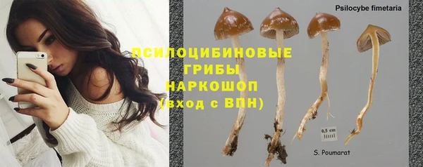 PSILOCYBIN Абаза