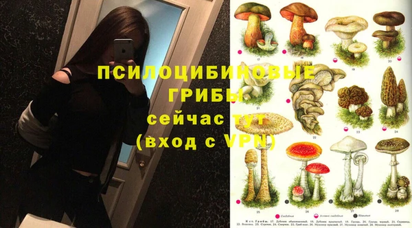 стафф Абдулино