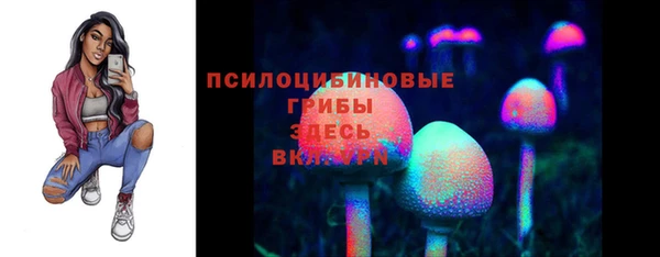 синтетический гашиш Покачи