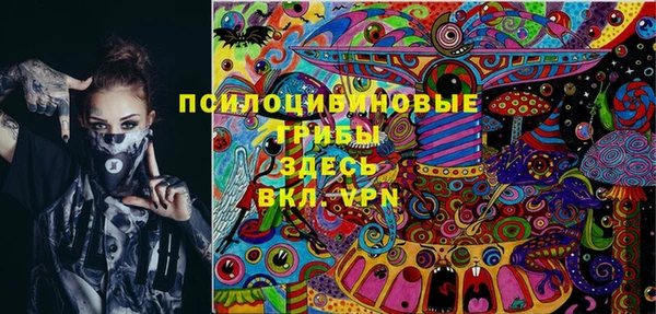 PSILOCYBIN Абаза
