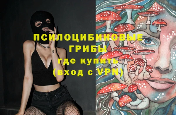 МДПВ Абинск