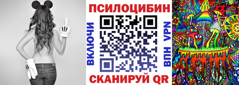 Псилоцибиновые грибы Psilocybine cubensis  Анапа 