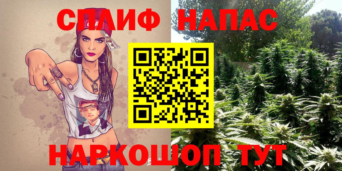 Канабис планчик  Каннабис MAZAR  Анапа  Шишки марихуана план  Вход с VPN 